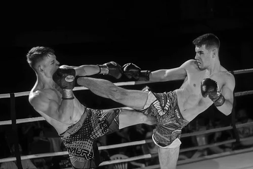 Sanshou oziroma Sanda vadba