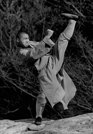 Kung Fu practice